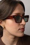 Olli | Brown