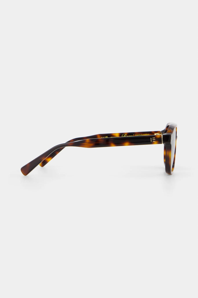 Remi | Tortoise