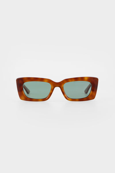 Goldie | Honey Tortoise