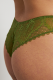 The French Brief | Fennel