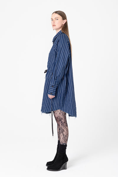 Facts Shirtdress | Denim Stripe - Company Store