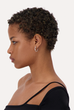 Hirschy Earrings | Palladium