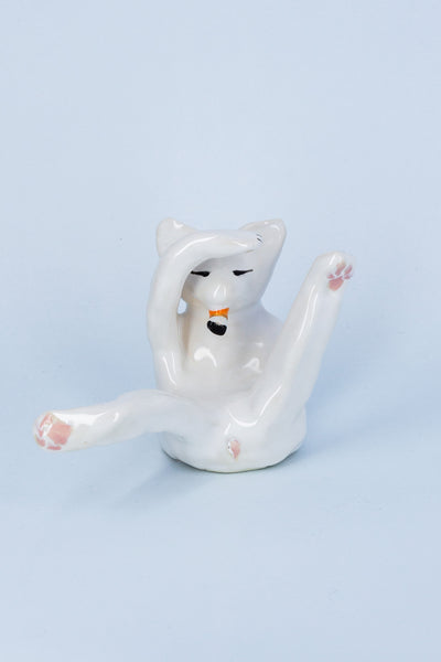 Snowy Cat