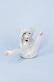 Snowy Cat