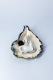 Oyster