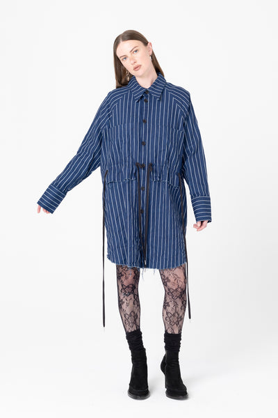 Facts Shirtdress | Denim Stripe - Company Store