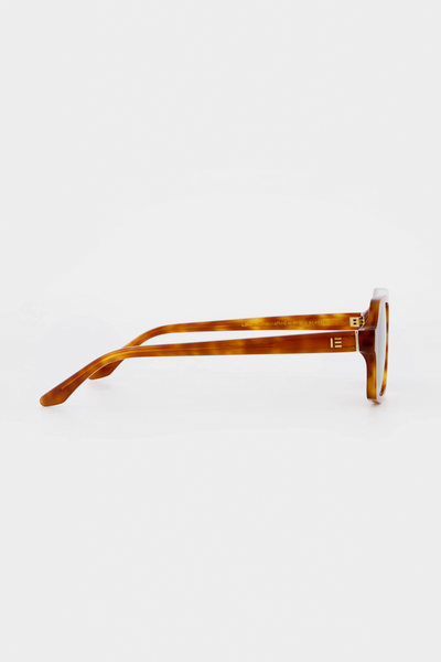 Lola | Honey Tortoise